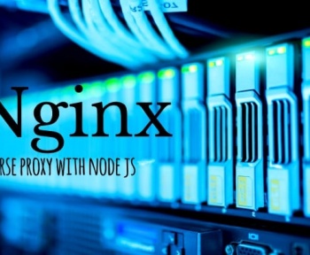 nginx reveser proxy node